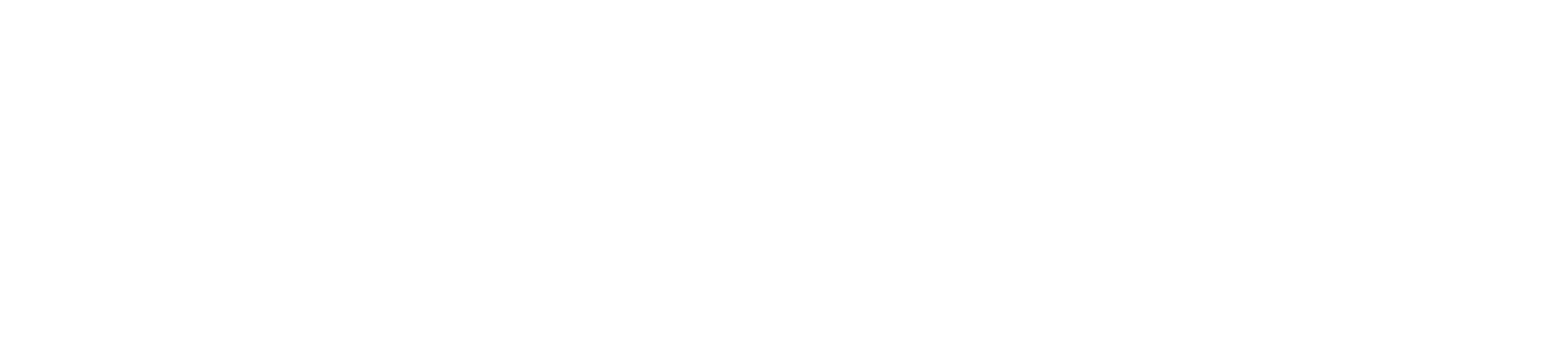 CS Komitesi
